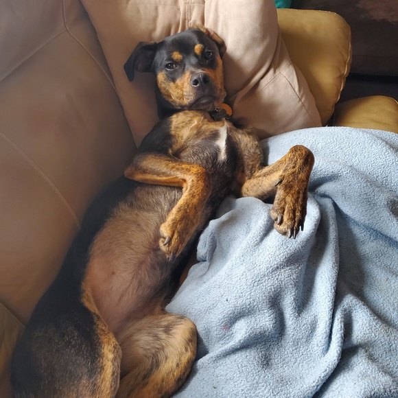 Meet your Posher, Tayler - Picture 3 of 3